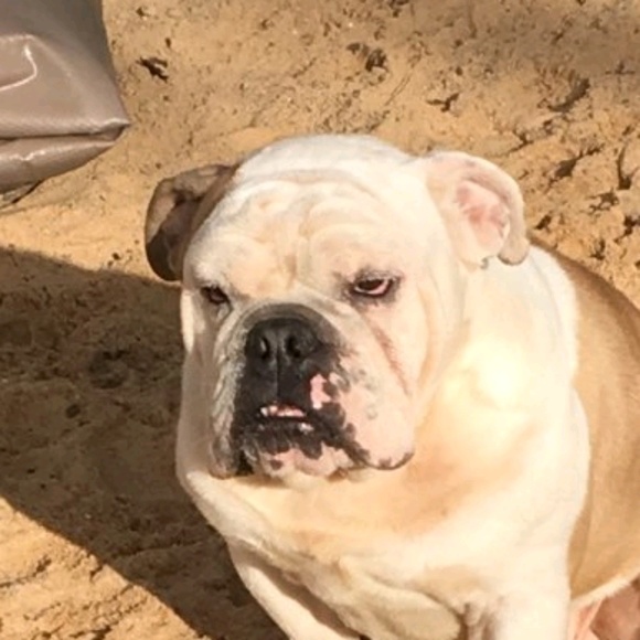 Meet your Posher, Robert - Picture 1 of 1